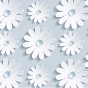 Meet your Posher, Isabel